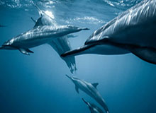 九游游戏娱乐平台-MK体育官网首页：开启极致体育体验的新入口